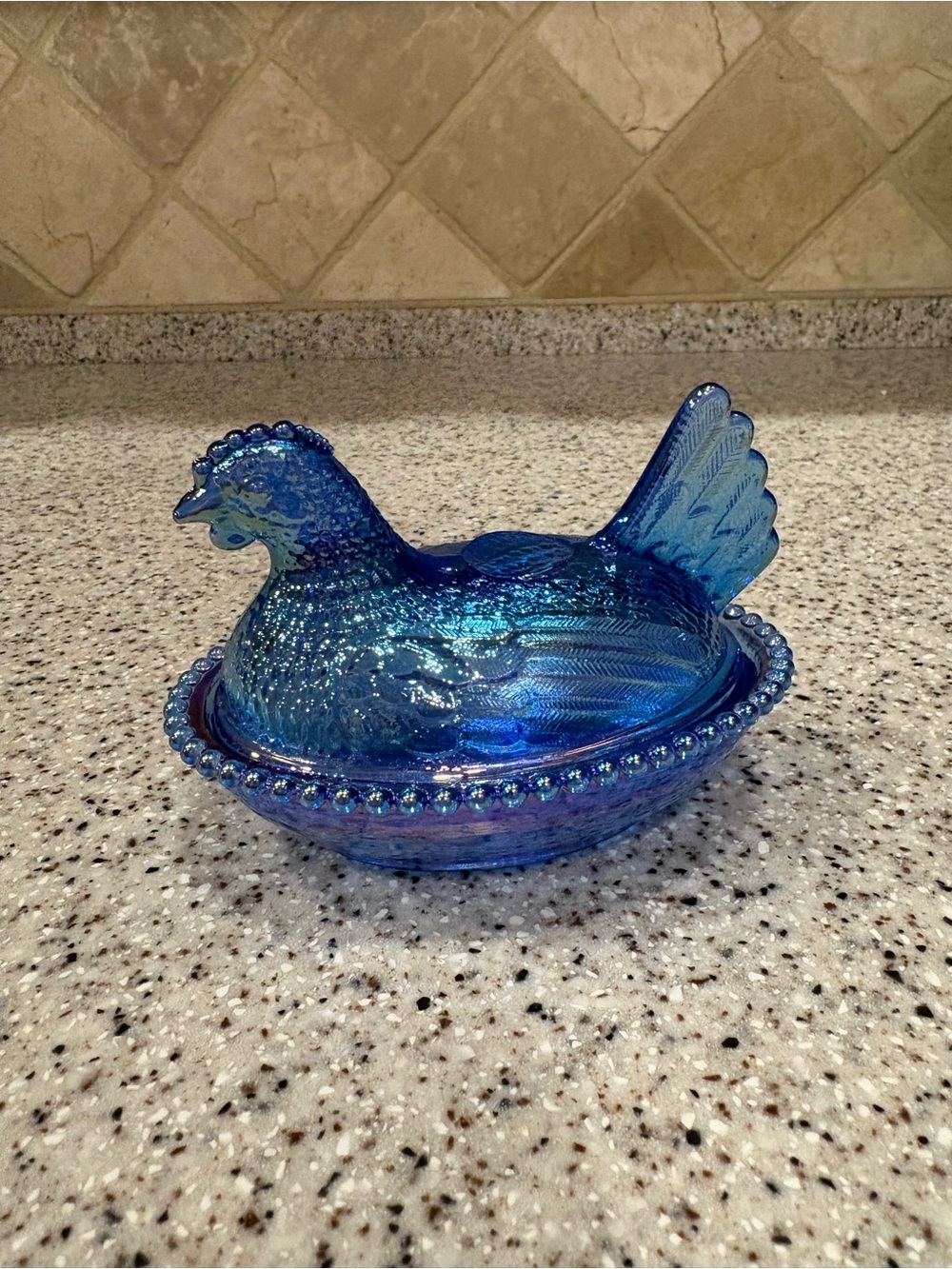 Dark Blue iridescent Chicken On Nest